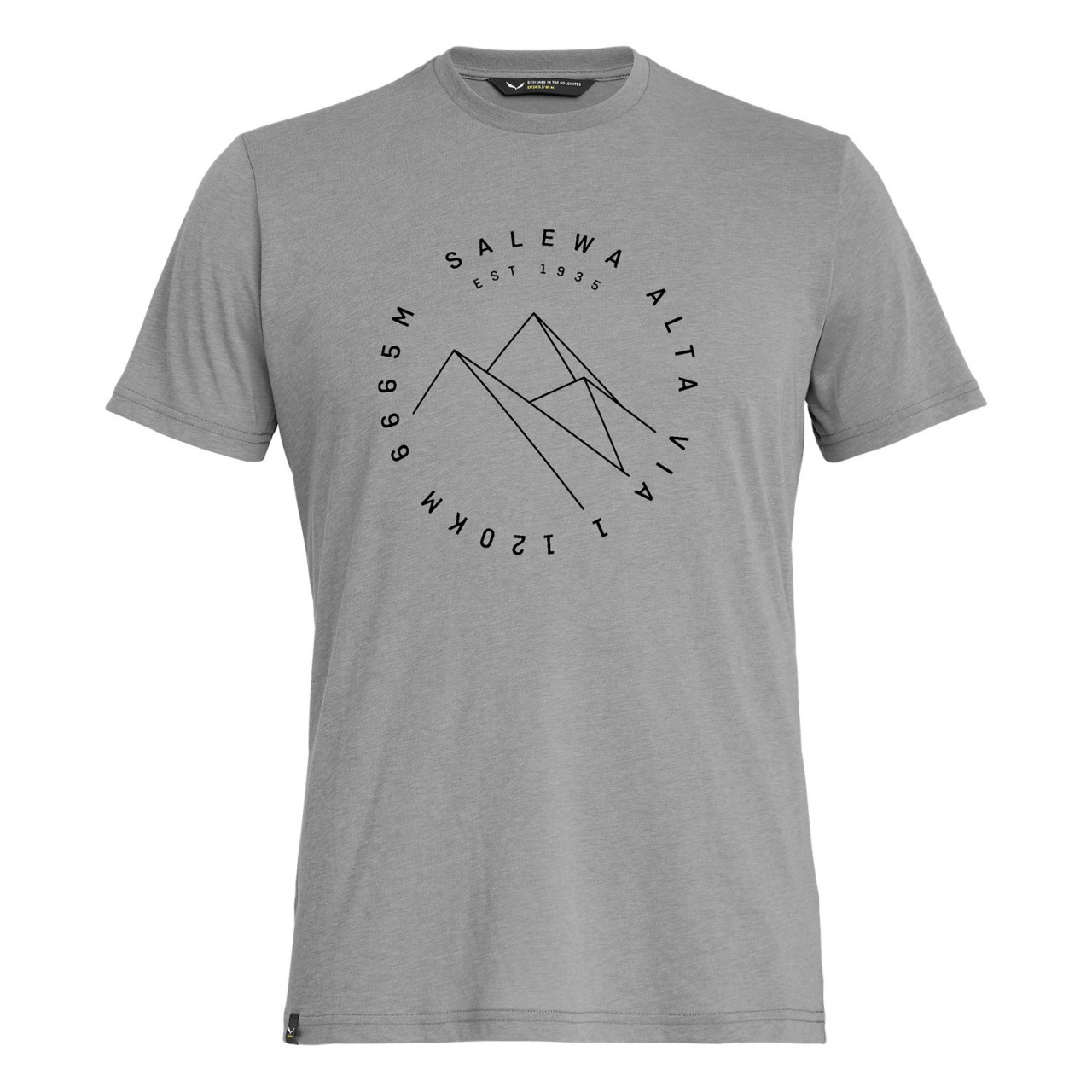 Camisetas Hombre Chile - Salewa Alta Via Drirelease® - Gris - IHWS-30726